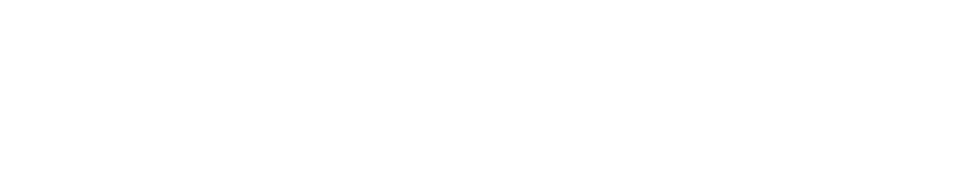 Ares Srl